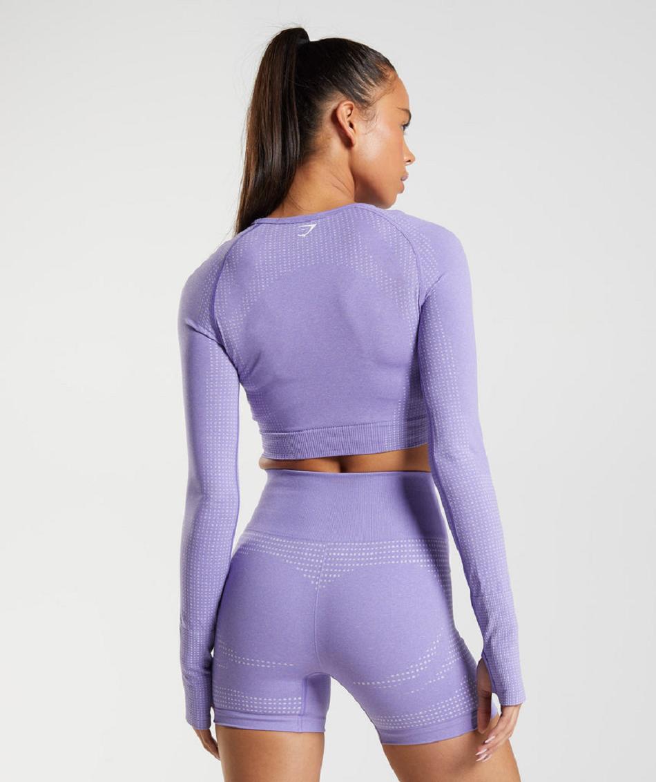 Przycięte Topy Damskie Gymshark Vital Seamless 2.0 Fioletowe | PL 2548GSO